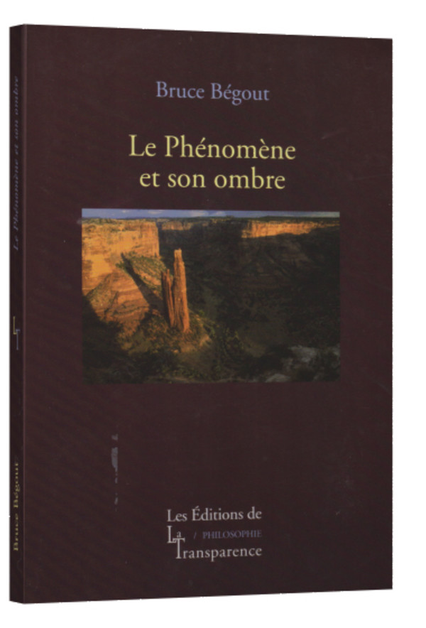 Le Phénomène et son ombre