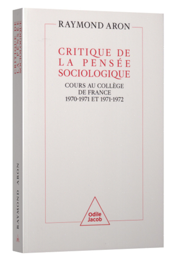 Critique de la pensée sociologique