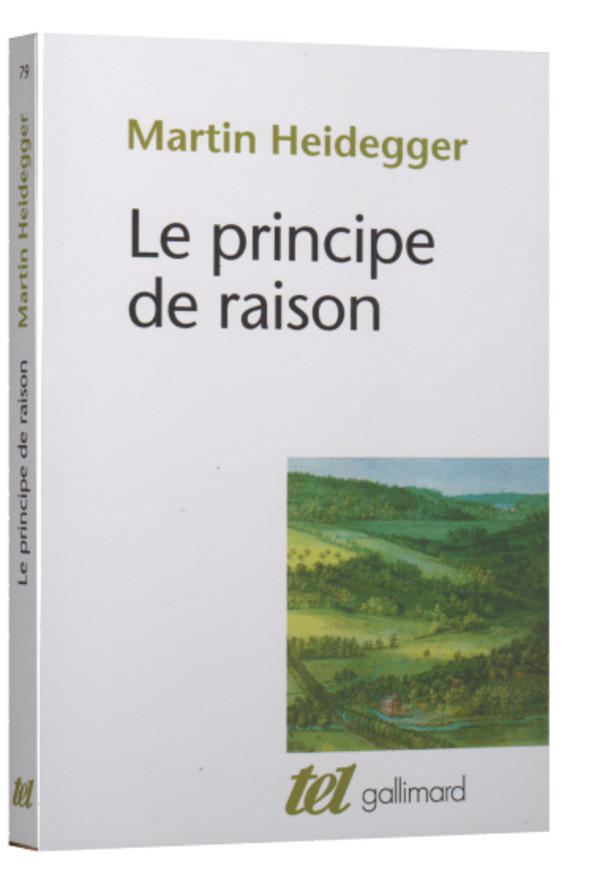 Le principe de raison